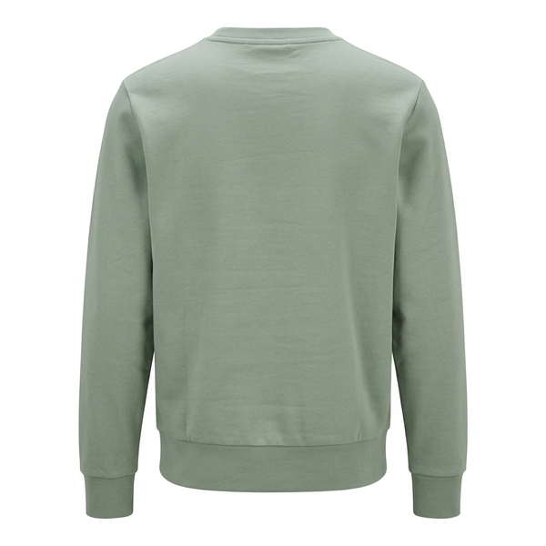 Sage-green BOSS sweatshirt back